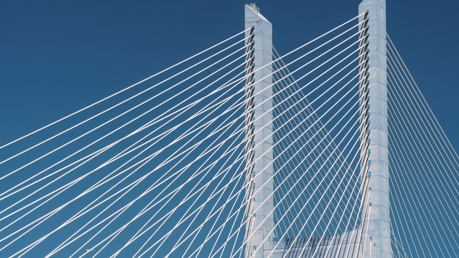 Building bridges of insight and connection